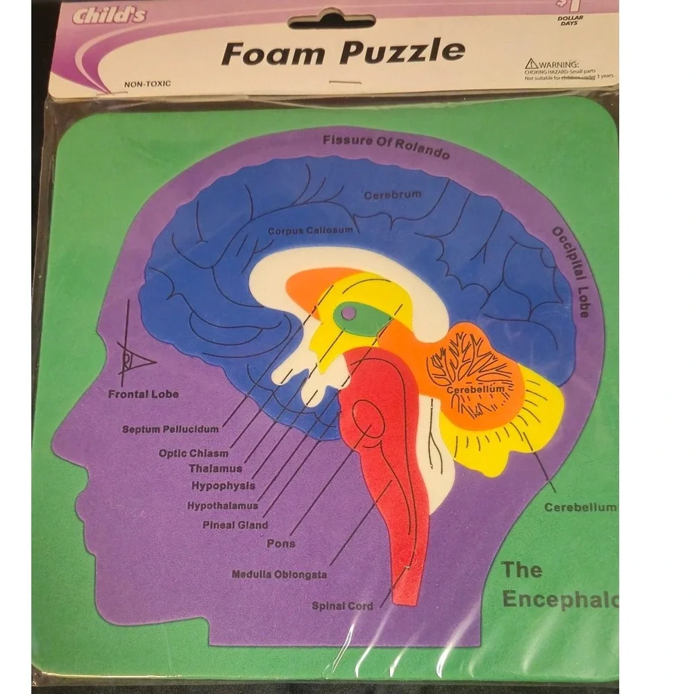 Childs Educational Foam Puzzle Set 4pk US Map Skeleton Brain Digestive System
